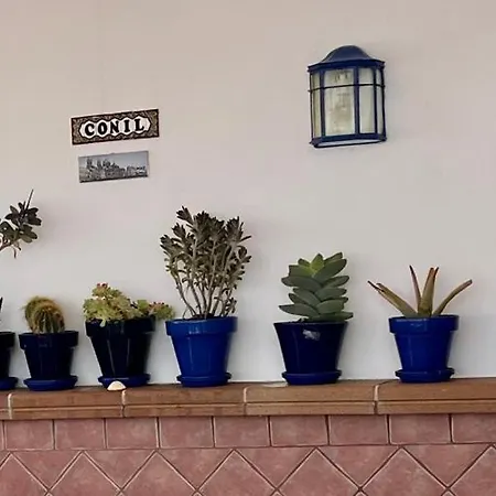 Duplex Huerta De Enmedio